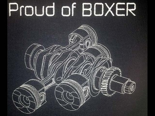 Boxer, Poloshirt Stickerei